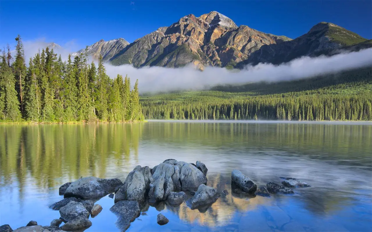 信息化新型创新
